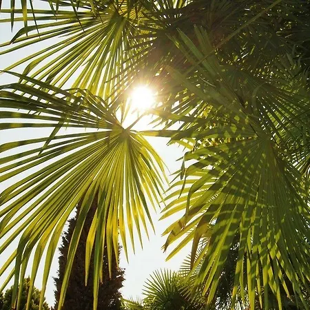 Hotel Ascovilla Charming Hideway Ascona