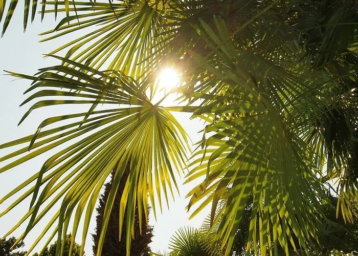 호텔 Ascovilla Charming Hideway 아스꼬나