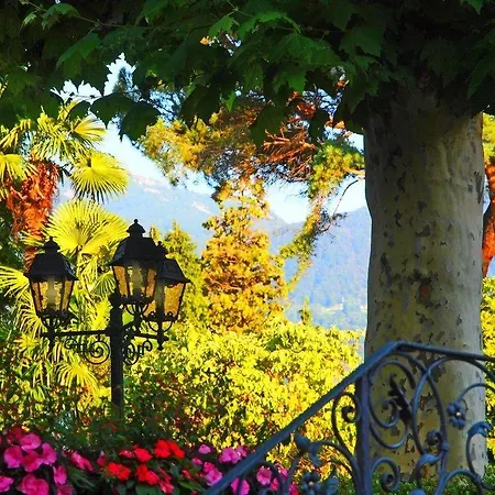 فندق Ascovilla Charming Hideway أسكونا